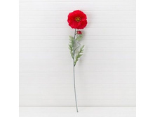 ��� 1 ������+1 ����� h-70 �� (����)