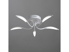 A9442PL-5WH 6900�.jpg