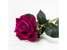 ���� ������������� ����� h70��