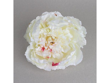 ������ �����, d - 20��