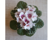 ��-����� 2.jpg