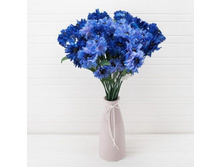 ����̣� (����) h-60��