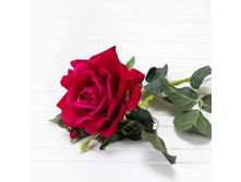 ���� ������������� ����� h70��