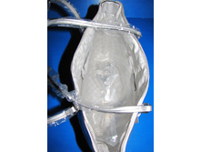 ����� ������ �������-8.JPG