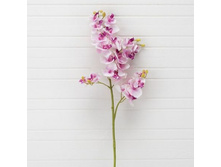 ������� (�����.), 70 ��