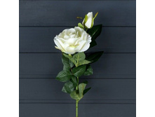 ���� �������� (�����), 67 ��