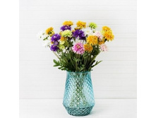 ����������, 55 ��