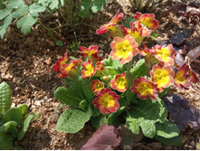 ������� �������.70 �