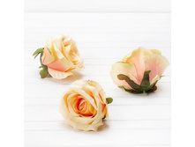 ���� ��������� ������(� ��. 12 ��.)