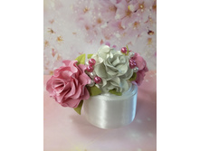 ������ 250 ���