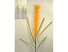 ����� �����. ��������. 115 ��