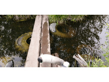 IMG 20200523 114856.jpg