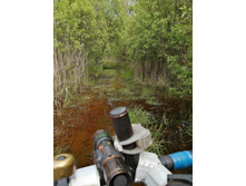 IMG 20200523 135849.jpg