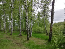 IMG 20200523 143811.jpg