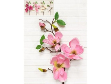 �������� 3 ������ � ����� h-50��