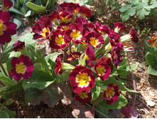 ������� �������.70 �