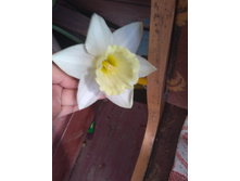 P 20200511 114627.jpg