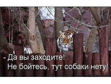 ��������, �� ������� ...