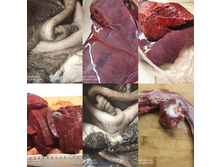 FB IMG 1588840266466.jpg