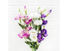 �������, h - 84 ��