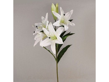 ����� ����� ������ 107��