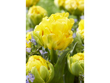 2020!!! ������� �������� ������ ������� ����.jpg