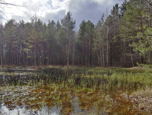 IMG 20200430 155812.jpg