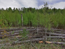 IMG 20200511 135726.jpg