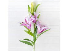 ����� ���������, 105 ��