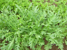 ������ 35���