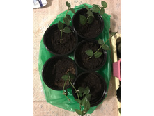 �������