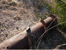 ������ �� ��������?