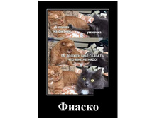 Screenshot 20200525 083455.jpg