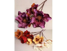 ��������*3 79��