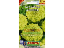 �������� ������ ������������ 60�� 0,3� (�) 11 ��� ���� 5 ��.jpeg