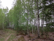 IMG 20200511 134506.jpg