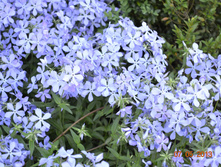 ����� �������������