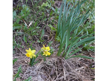 ��� � ���.JPG