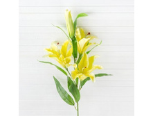 ����� ���������, 105 ��