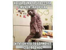 Screenshot 20200516 120829.jpg