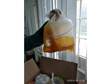 ������� ����