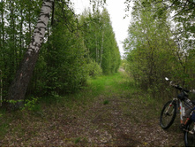 IMG 20200523 135448.jpg