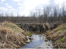 ��������������� ������� �������