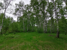 IMG 20200523 135230.jpg