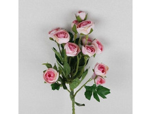 ���������� ����� *12 (50��)