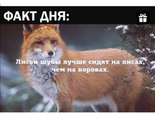 Screenshot 20200511 214037.jpg