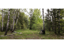 IMG 20200523 130336.jpg