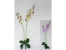 ������� � �������� � �������