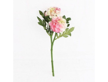 �����, 34 ��