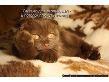 ������� ���, ������� ��� ... � ������� ������� �������!